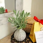 Amarianos أيّا إفيميا
